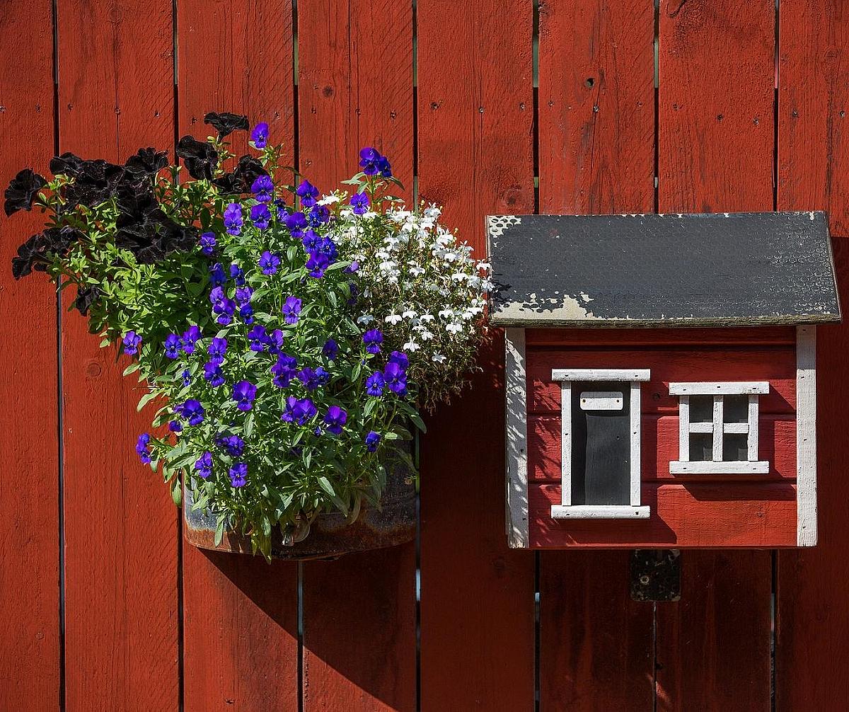 Typisch schwedischer Briefkasten aus Holz und blühende Blumen.